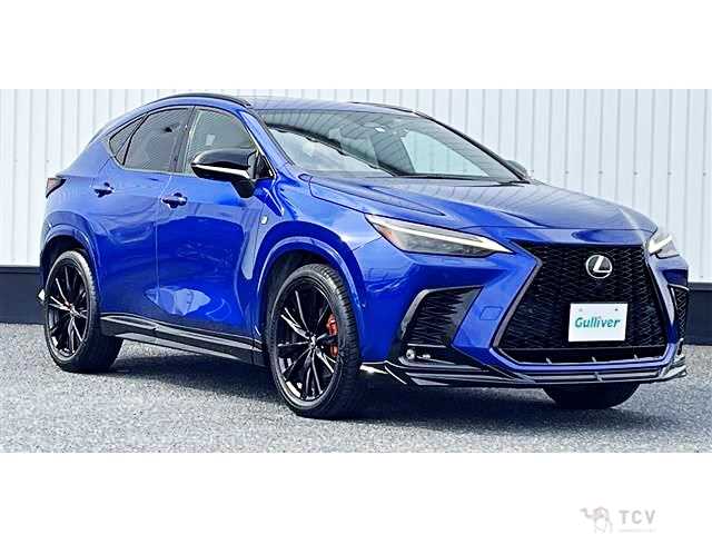 2023 Lexus NX