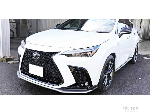 2023 Lexus NX
