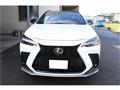 2023 Lexus NX