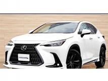 2023 Lexus NX
