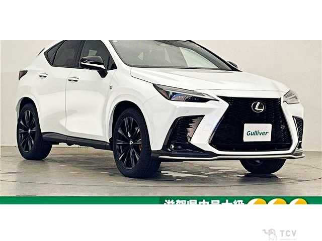 2023 Lexus NX