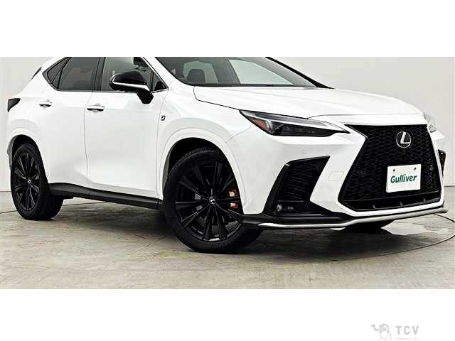 2023 Lexus NX