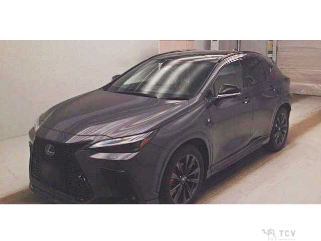 2023 Lexus NX