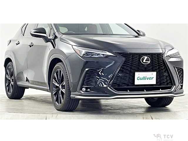 2023 Lexus NX