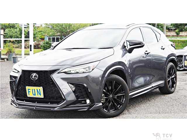 2023 Lexus NX