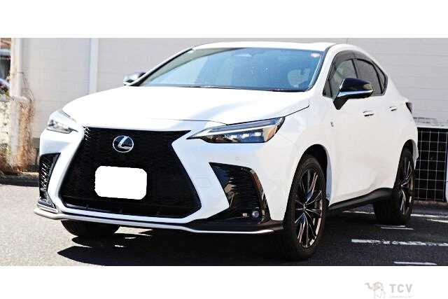 2023 Lexus NX