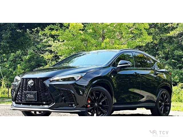 2023 Lexus NX