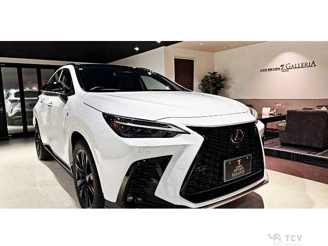 2023 Lexus NX