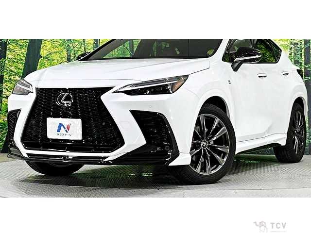2023 Lexus NX