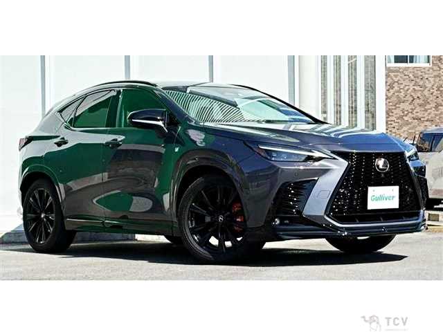 2023 Lexus NX