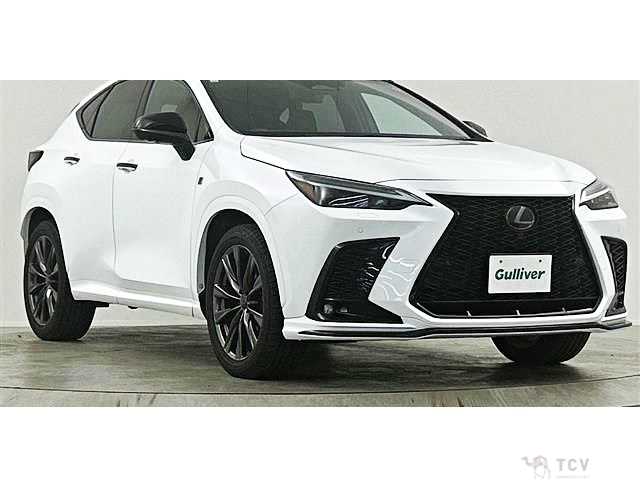 2023 Lexus NX