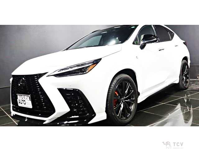 2023 Lexus NX