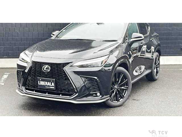 2023 Lexus NX