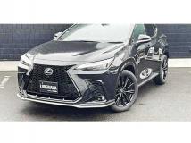 2023 Lexus NX