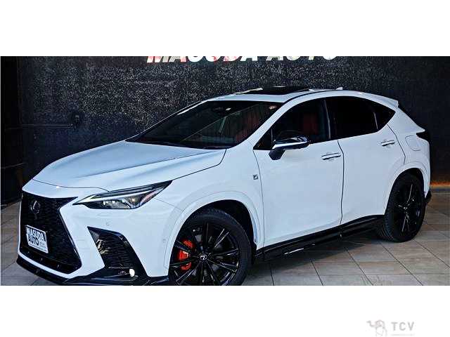2023 Lexus NX
