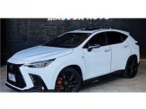 2023 Lexus NX
