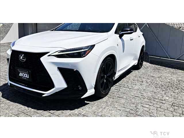 2023 Lexus NX