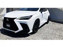 2023 Lexus NX