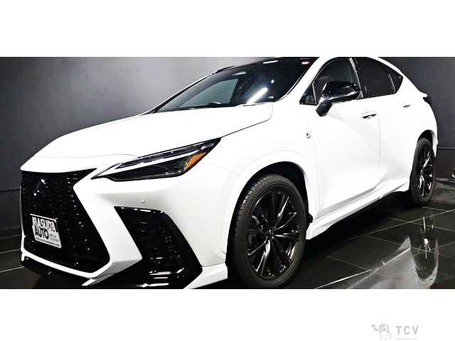 2023 Lexus NX