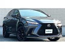 2023 Lexus NX