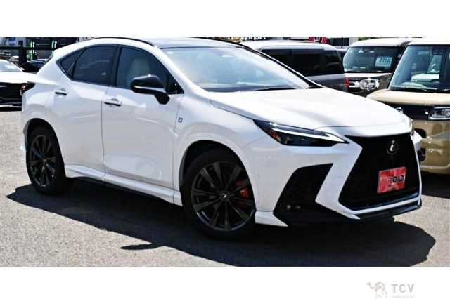 2023 Lexus NX