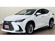 2023 Lexus NX