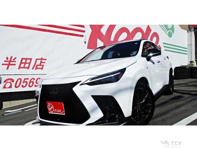 2023 Lexus NX