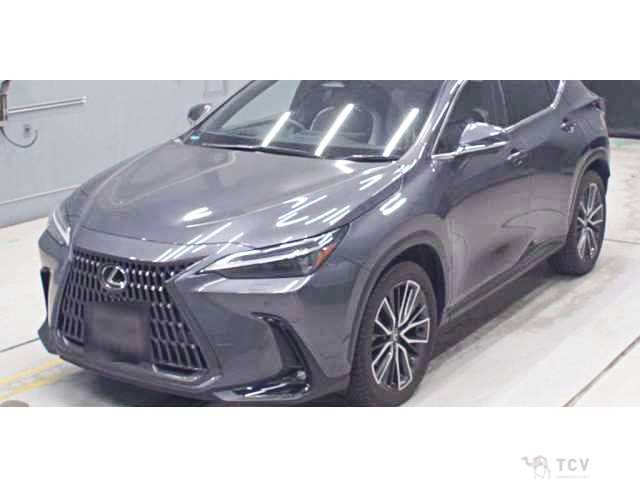 2023 Lexus NX