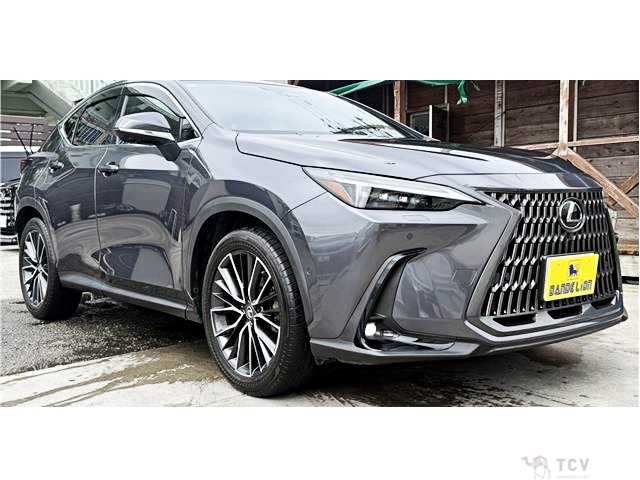 2023 Lexus NX