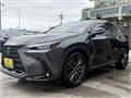 2023 Lexus NX