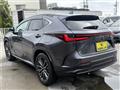 2023 Lexus NX