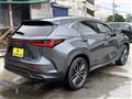 2023 Lexus NX