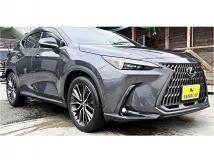 2023 Lexus NX