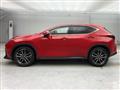 2023 Lexus NX