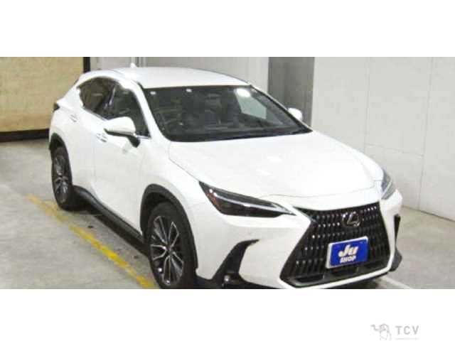 2023 Lexus NX