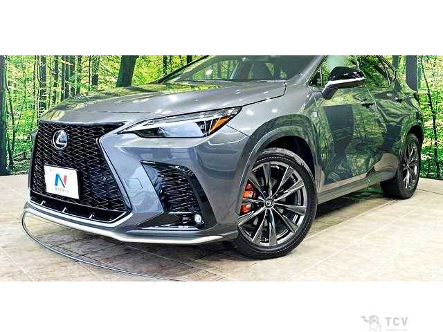2023 Lexus NX