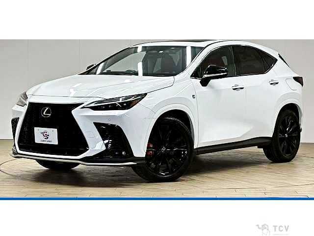 2023 Lexus NX
