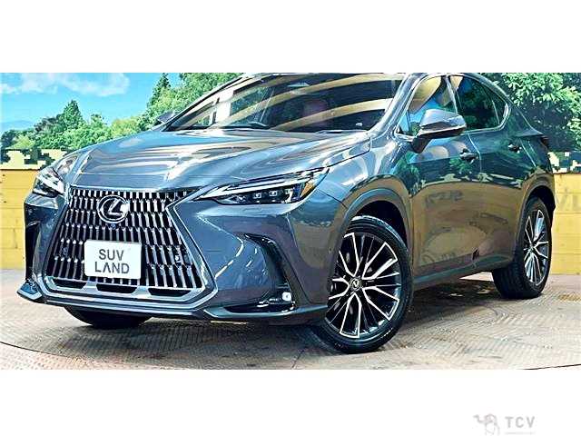 2023 Lexus NX