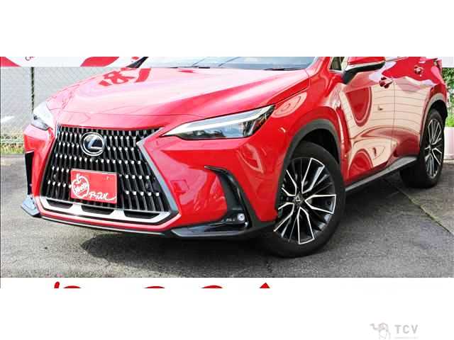 2023 Lexus NX