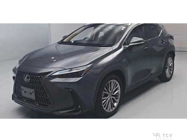 2023 Lexus NX