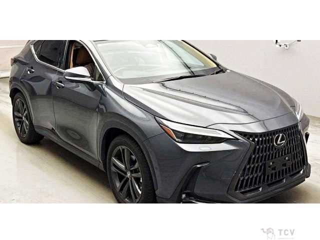 2023 Lexus NX