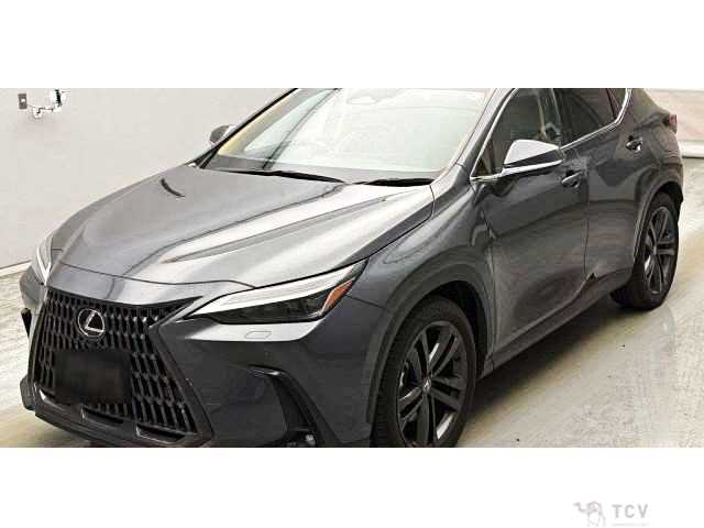 2023 Lexus NX