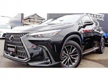 2023 Lexus NX
