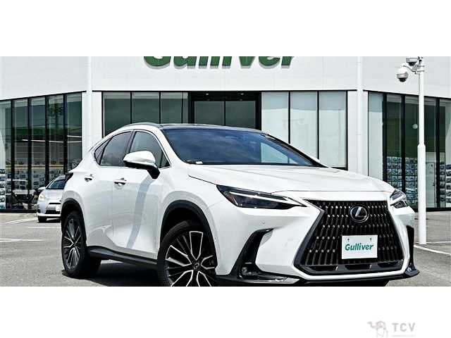 2023 Lexus NX