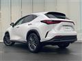 2023 Lexus NX