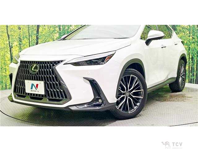 2023 Lexus NX