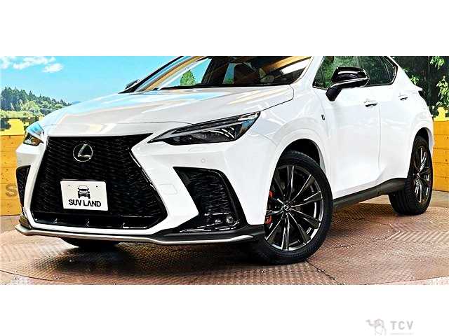2023 Lexus NX
