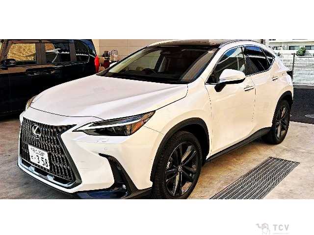 2023 Lexus NX