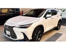 2023 Lexus NX