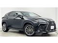 2023 Lexus NX
